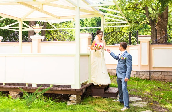 Hermosa boda, marido y mujer, amantes hombre mujer, novia y novio Imagen De Stock