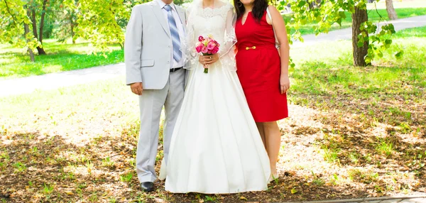 Los novios, los invitados — Foto de Stock