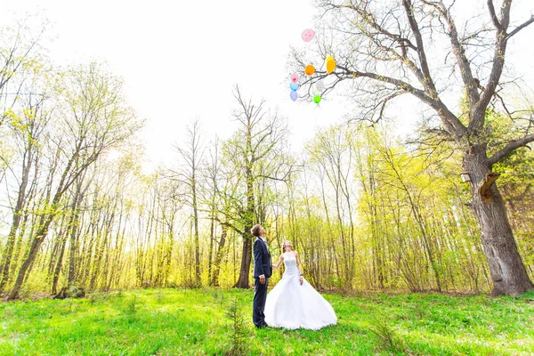 Bride and Groom at wedding Day walking Outdoors on spring nature. Bridal couple, Happy Newlywed woman and man embracing in green park. Loving wedding couple outdoor. — Stock Photo, Image