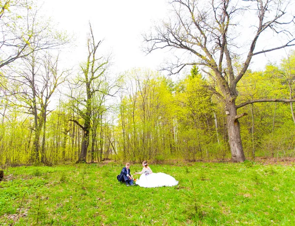 Жених и невеста на пикнике — стоковое фото