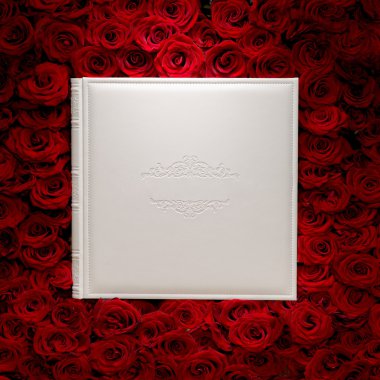 Beyaz kitap ile kırmızı gül