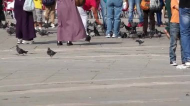 San Marco Piazza Venedik insanlarda
