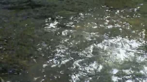 Water spatten moss gedekt rotsen — Stockvideo