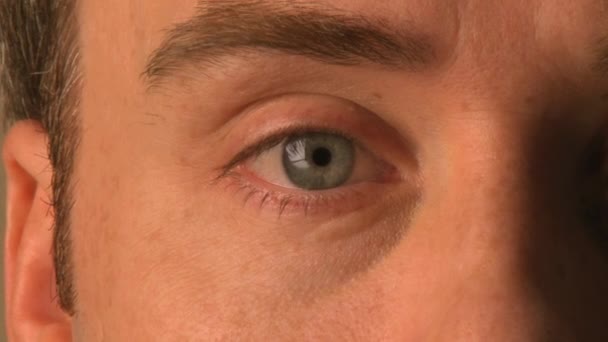visage humain mâle 30s 5 5 