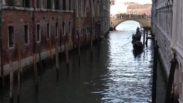 Гондоли у Венеції — стокове відео