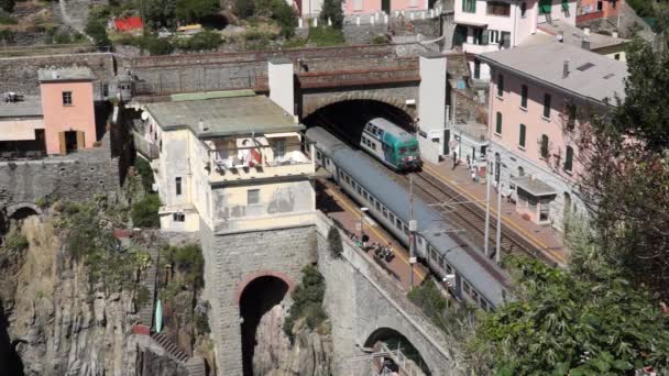 Estación de tren en Riomaggiore — Vídeo de stock