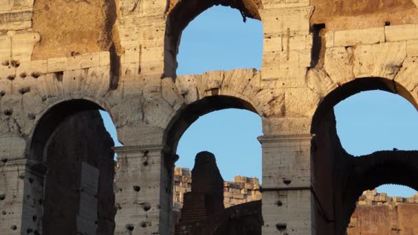 Coliseu em Roma — Vídeo de Stock