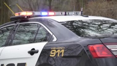 Polis arabaları, Aile içi şiddet