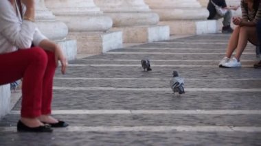 Roma Vatikan