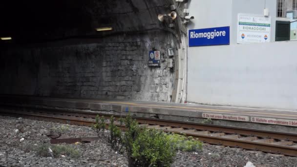 Железнодорожный вокзал в Риомаджоре — стоковое видео
