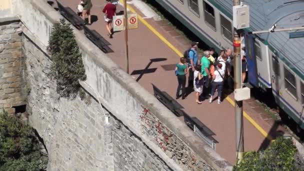 Train Station in Riomaggiore — Stock Video