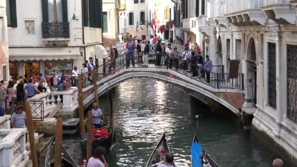 Gondolas in Venice — Stock Video