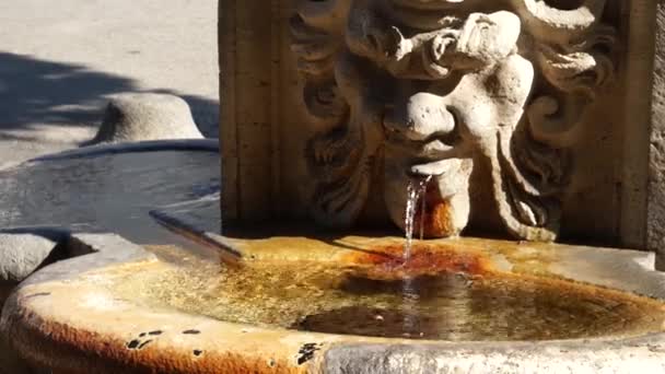 Ancient fountain in Rome — Stock Video