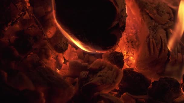 Lågor och glödande kolen — Stockvideo