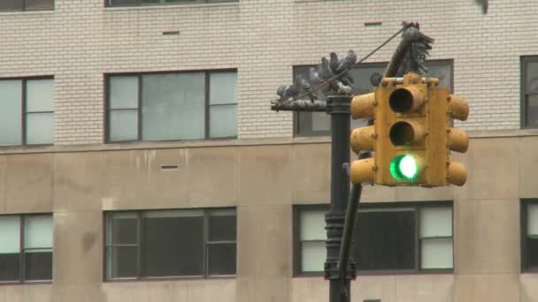 Luz em uma Nova York — Vídeo de Stock