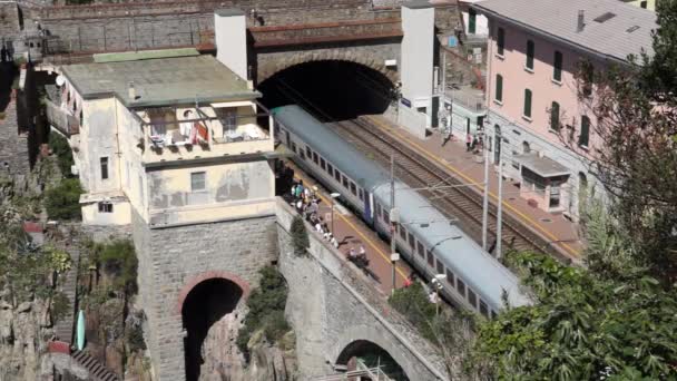 Estación de tren en Riomaggiore — Vídeo de stock