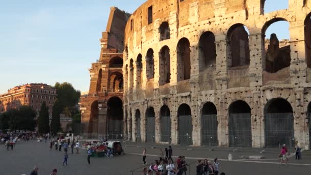 Colosseum in rome — Stockvideo