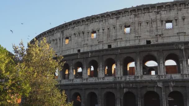 Coliseu em Roma — Vídeo de Stock