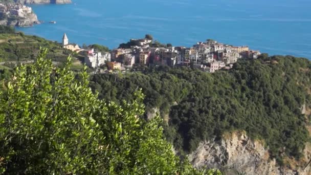 Corniglia 的场面 — 图库视频影像