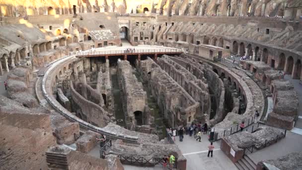 Colosseum in rome — Stockvideo