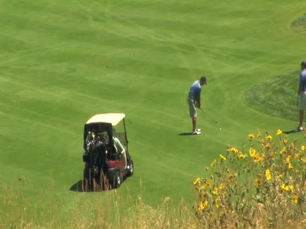 Ludzie grać w golfa — Wideo stockowe
