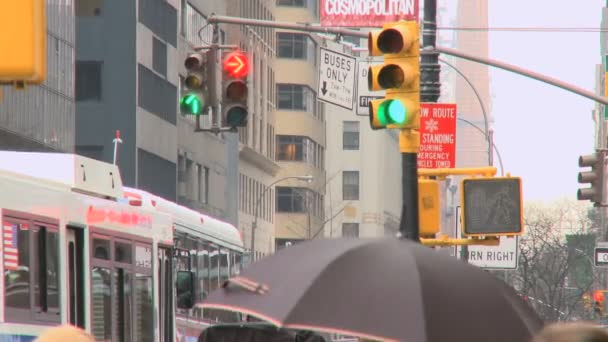 Trafik i en New York på morgonen — Stockvideo