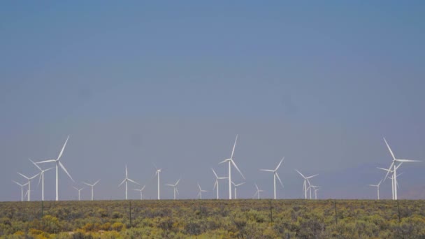 View of a windfarm in the desert — Stock Video