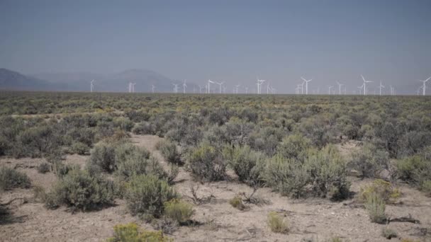 Schwenkrecht eines Windparks in der Wüste — Stockvideo