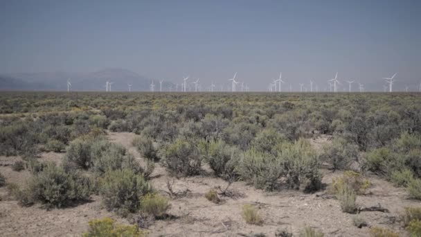 Schwenkrecht eines Windparks in der Wüste — Stockvideo