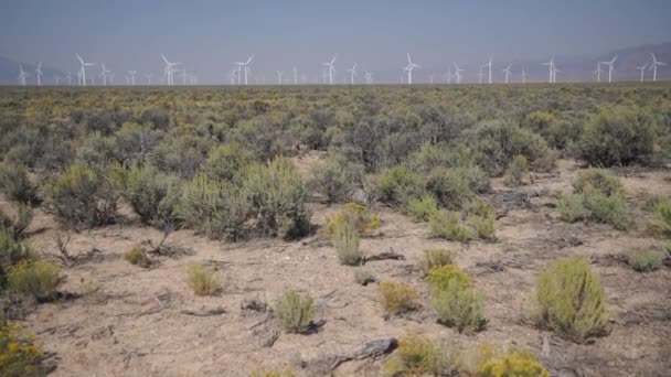 Pan Up dari sebuah windfarm di padang pasir — Stok Video