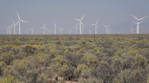 Scène van een windmolenpark in de woestijn — Stockvideo