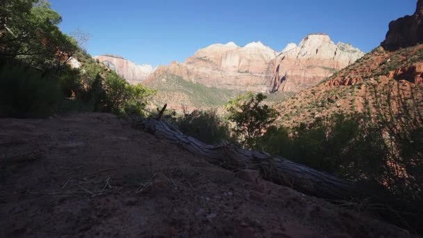 Dolly výstřel v národní Park Zion — Stock video