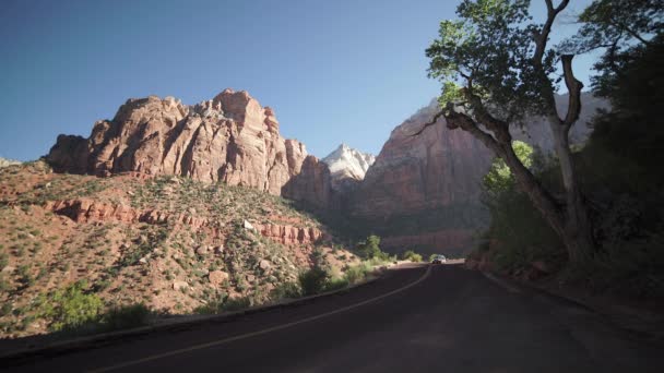 Yol kenarındaki sahne Zion National Park — Stok video