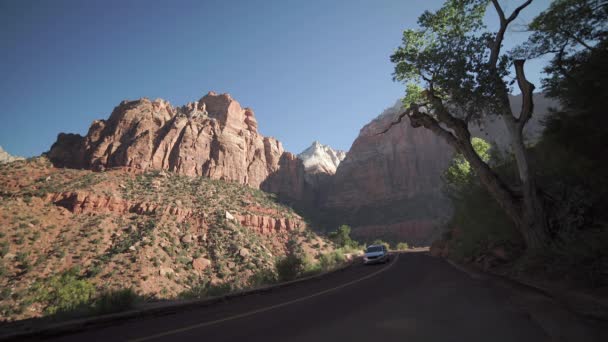 Szene am Straßenrand im Zion Nationalpark — Stockvideo