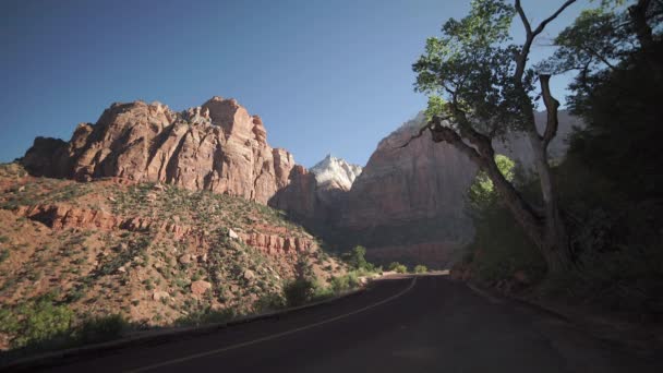 Útszéli jelenet a Zion Nemzeti Park — Stock videók