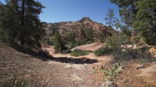 Kraan schot in het Nationaal Park Zion — Stockvideo