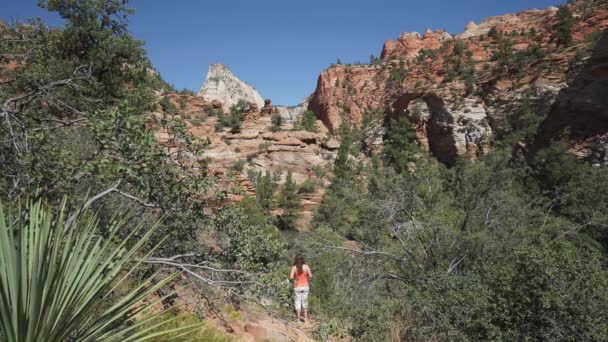 Kraan schot in het Nationaal Park Zion — Stockvideo