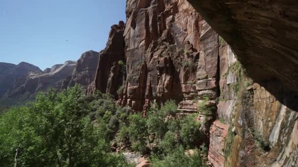 Pan del Parque Nacional de Zion — Vídeo de stock