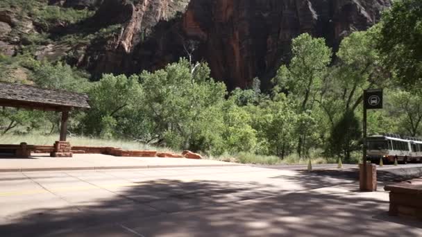 Bussen in het Nationaal Park Zion — Stockvideo