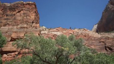Zion National Park içinde pan