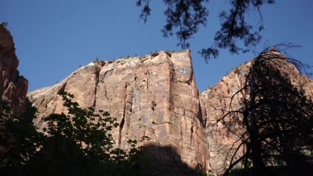 Pan del Parque Nacional de Zion — Vídeos de Stock