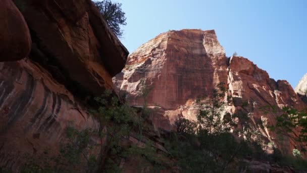 Pan of Zion National Park — Stock Video