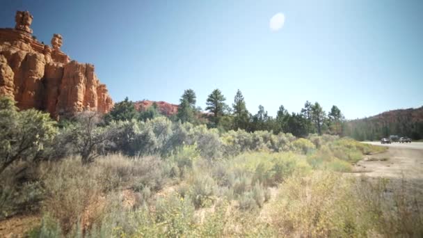 Izquierda Pan del Parque Nacional de Zion — Vídeos de Stock