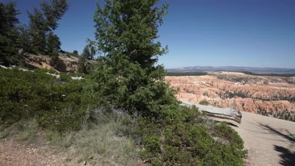 Pan recht in Zion National Park — Stockvideo