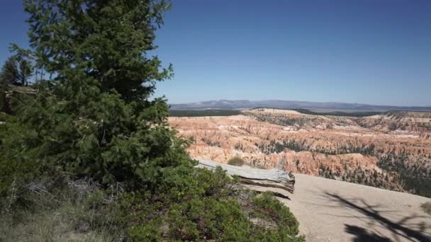 Pan Direita no Parque Nacional de Zion — Vídeo de Stock