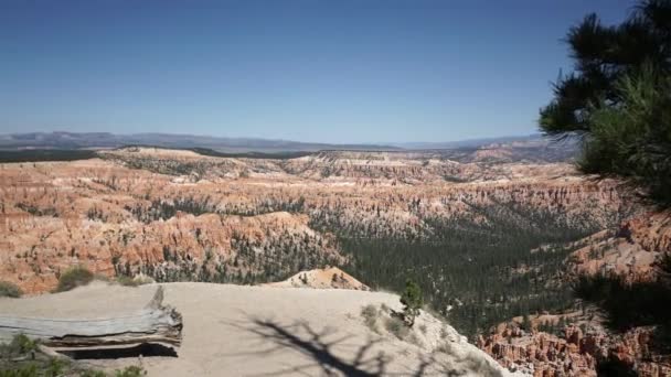 Kraan schot in het Nationaal Park Zion — Stockvideo