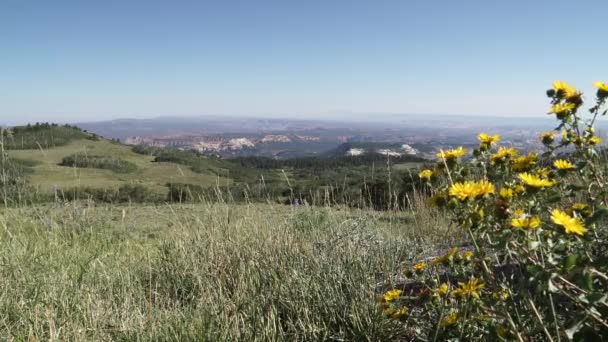 Colpo di gru fuori dal Parco Nazionale di Zion — Video Stock