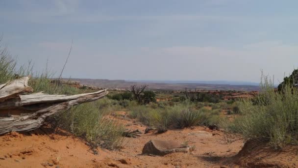 Dolly atış, Arches National Park — Stok video