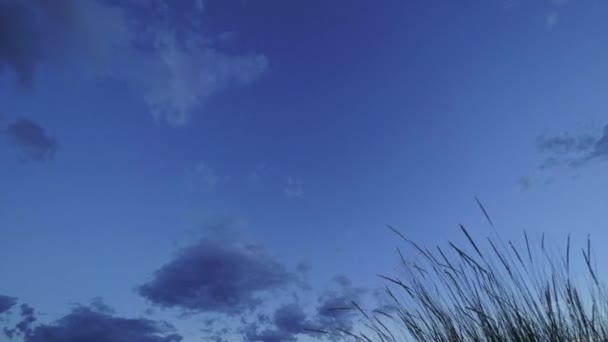 Wolkenbruch im amerikanischen Südwesten — Stockvideo