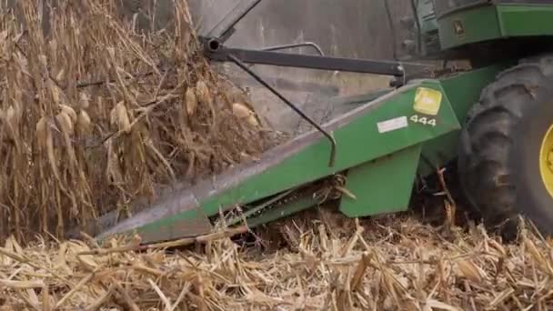 Escena de la cosecha de maíz en un campo — Vídeos de Stock
